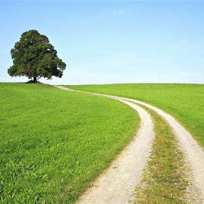 大发彩票app下载手机版