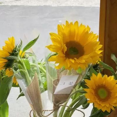 威尼斯游戏网站官网